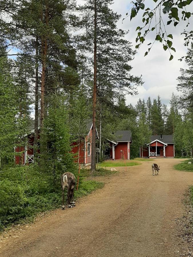 Willa Kuosto Ja Luppo Äkäslompolo Zewnętrze zdjęcie